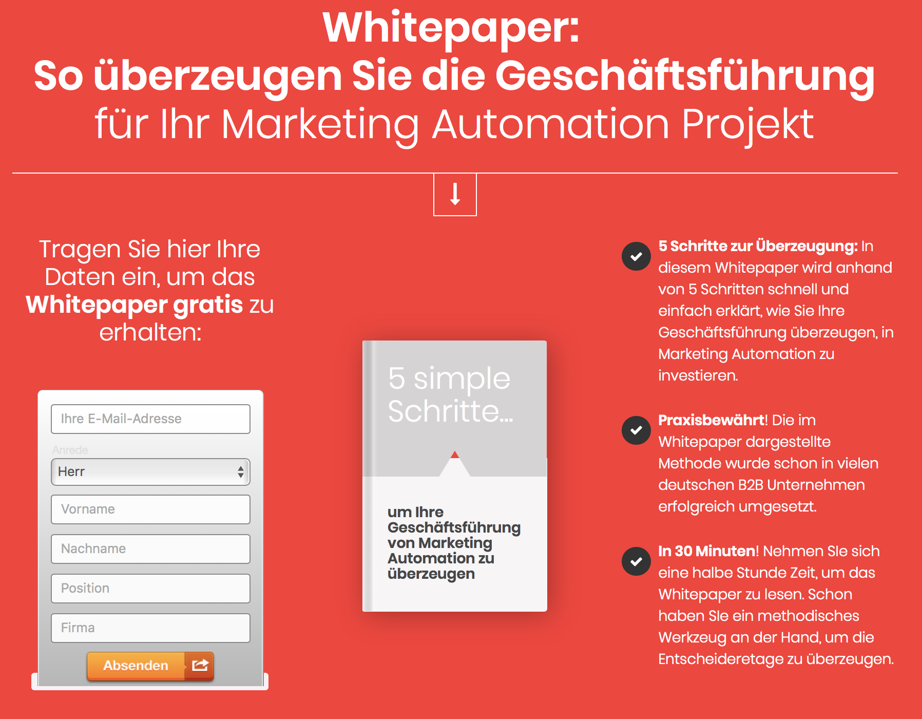 whitepaper-marketing-automation-content-transformation