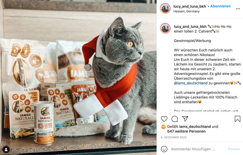 Case: Spectrum Influencerin 2