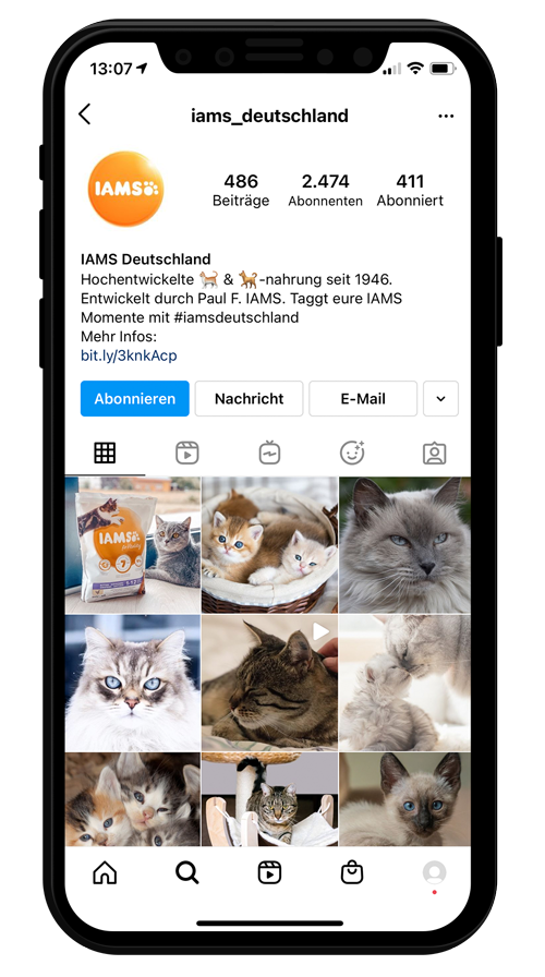 Instagram Account iams